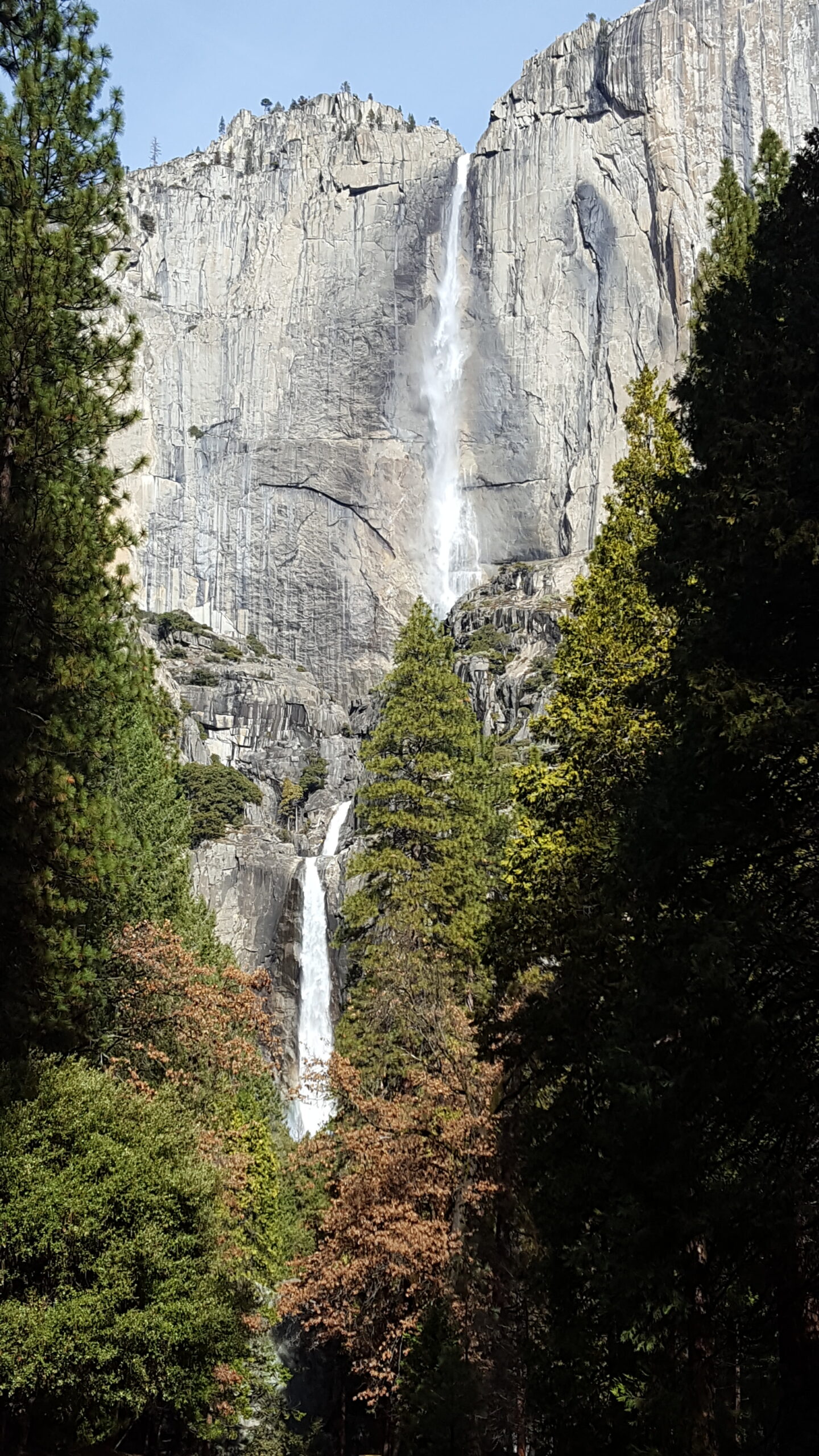 Nature's Inn Bed and Breakfast