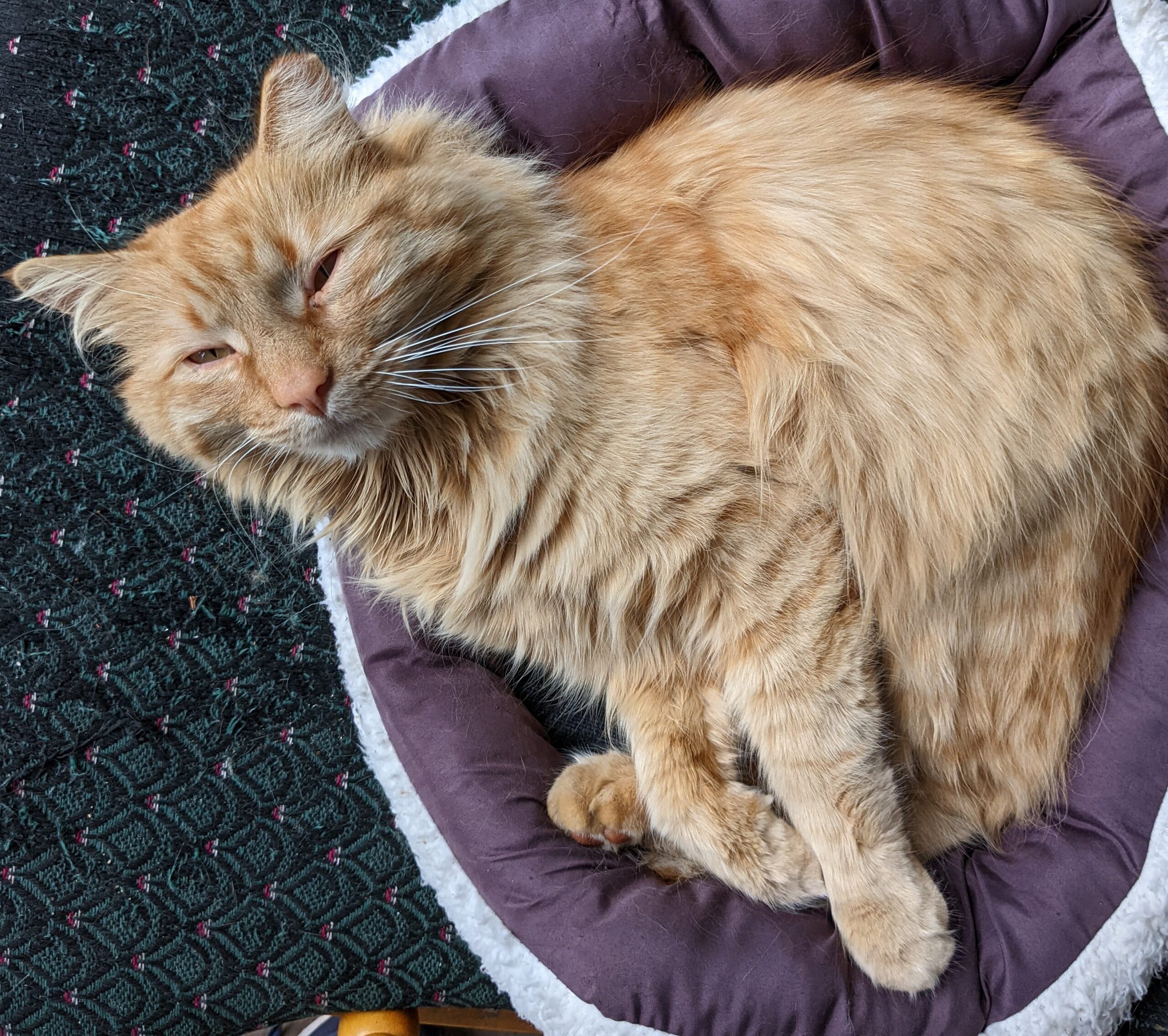 Nature's Inn Bed and Breakfast